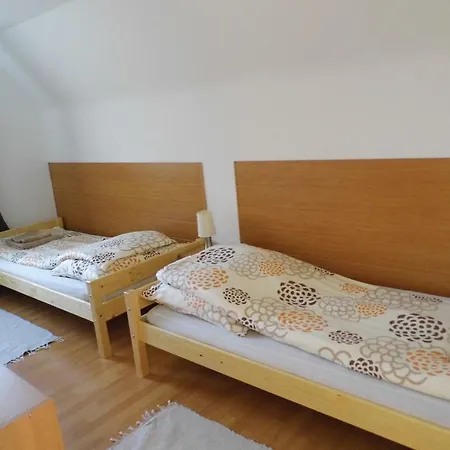 Viola Vendeghaz Magyarhertelend